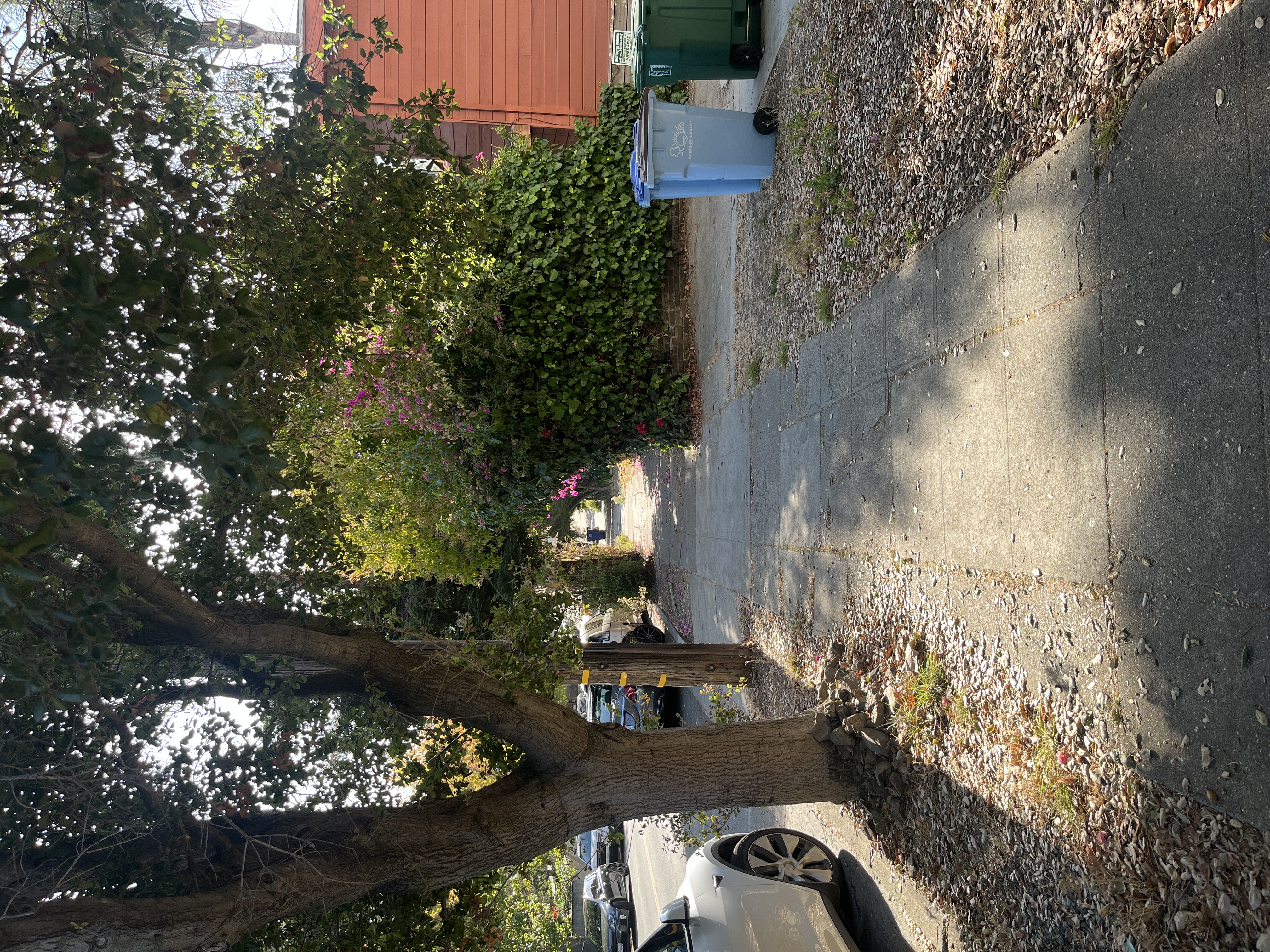 Outdoor wide-angle shot